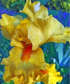 Yellow Bearded Iris Plant Paint By Numbers