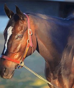 Zenyatta Horse Head Paint By Numbers