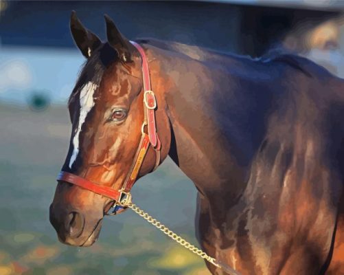 Zenyatta Horse Head Paint By Numbers