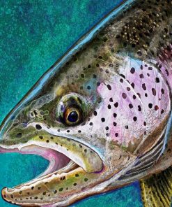 Abstract Steelhead Fish Paint By Numbers