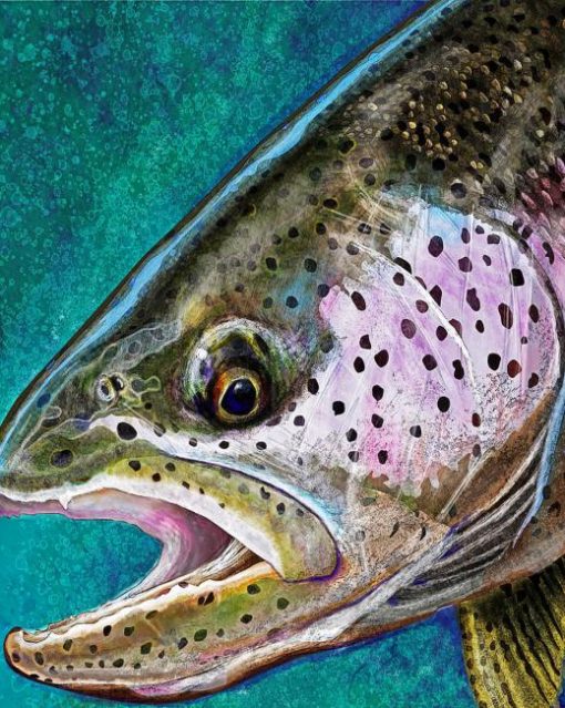 Abstract Steelhead Fish Paint By Numbers