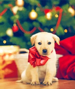 Adorable Christmas Dog Paint By Numbers