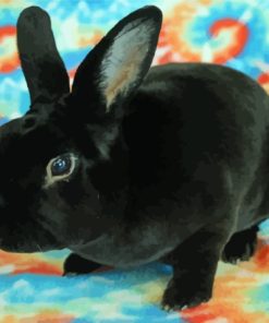 Adorable Black Bunny Paint By Numbers