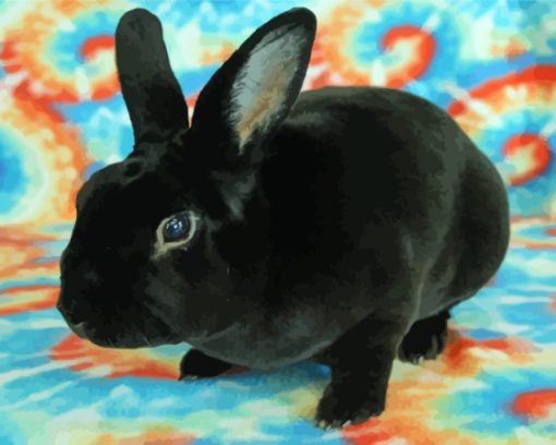 Adorable Black Bunny Paint By Numbers