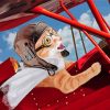 Aesthetic Pilot Cat Paint By Numbers