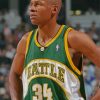 Aesthetic Ray Allen Paint By Numbers