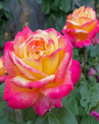 Beautiful Peace Rose Paint By Numbers