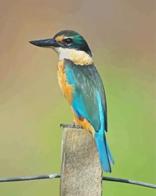 Bird Kotare Paint By Numbers