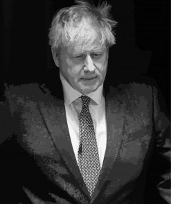 Black And White Boris Johnson Paint By Numbers