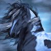 Black Gypsy Vanner Horse Paint By Numbers