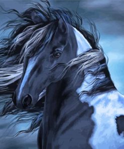 Black Gypsy Vanner Horse Paint By Numbers