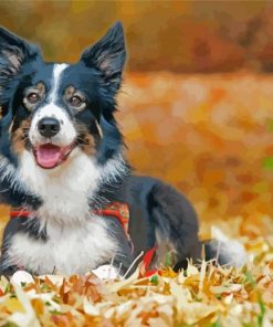 Border Collie Dog In Leaves Paint By Numbers