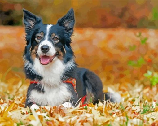 Border Collie Dog In Leaves Paint By Numbers