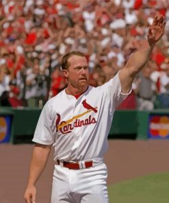 Cool Mark Mcgwire Paint By Numbers