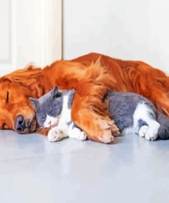 Dog And Cat Sleeping On The Floor Paint By Numbers