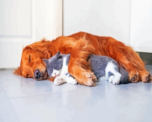 Dog And Cat Sleeping On The Floor Paint By Numbers