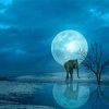 Elephant Moon Water Reflection Paint By Numbers