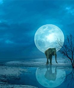 Elephant Moon Water Reflection Paint By Numbers