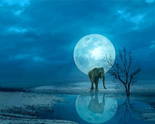 Elephant Moon Water Reflection Paint By Numbers