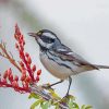 Grey And White Bird On Tree Paint By Numbers