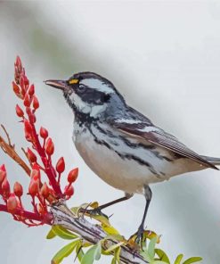 Grey And White Bird On Tree Paint By Numbers