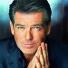 Handsome Pierce Brosnan Paint By Numbers