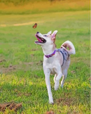 Husky Puppy Playing With Butterfly Paint By Numbers