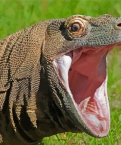 Komodo Dragon Monitor Paint By Numbers