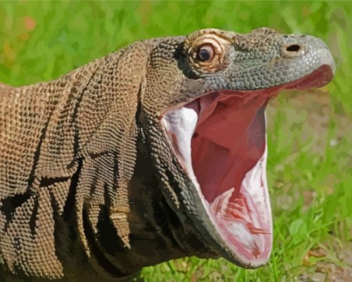 Komodo Dragon Monitor Paint By Numbers