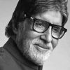 Monochrome Amitabh Bachchan Paint By Numbers