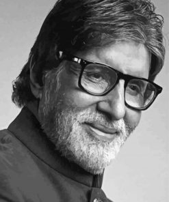 Monochrome Amitabh Bachchan Paint By Numbers