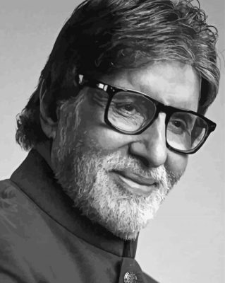 Monochrome Amitabh Bachchan Paint By Numbers