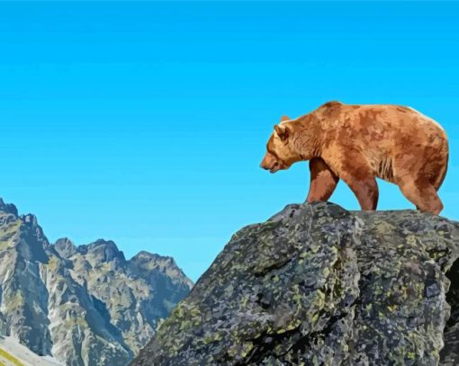 Mountain Bear Paint By Numbers