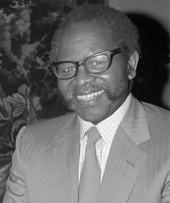 Oliver Tambo Paint By Numbers