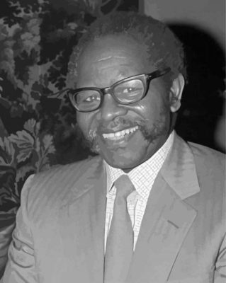 Oliver Tambo Paint By Numbers