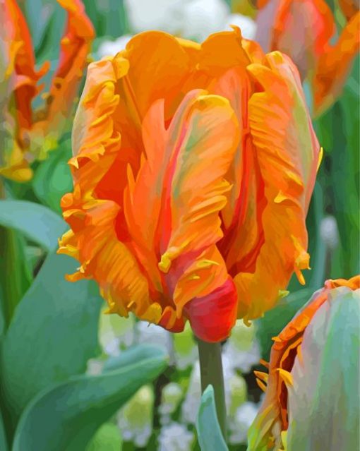 Orange Parrot Tulips Paint By Numbers