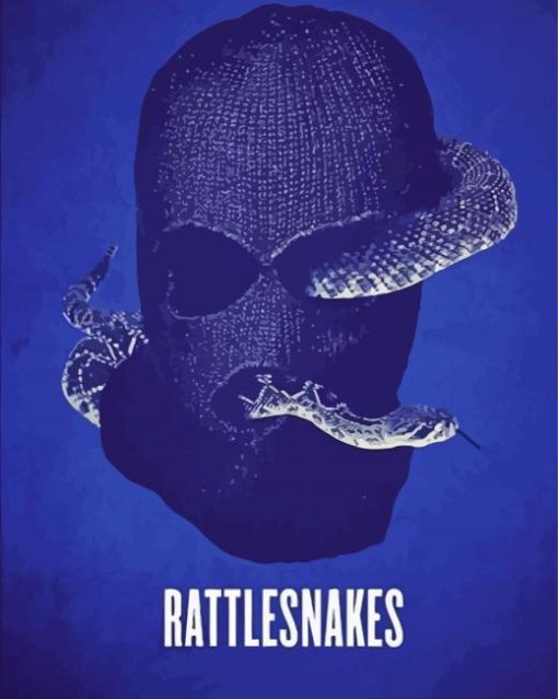 Rattlesnakes Poster Paint By Numbers