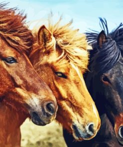 Ree Icelandic Pony Horses Paint By Numbers