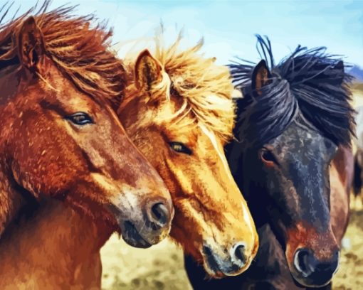 Ree Icelandic Pony Horses Paint By Numbers