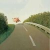 Running Pig Michael Sowa Paint By Numbers