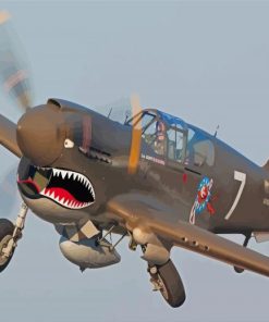 Shark WWII Airplane Paint By Numbers