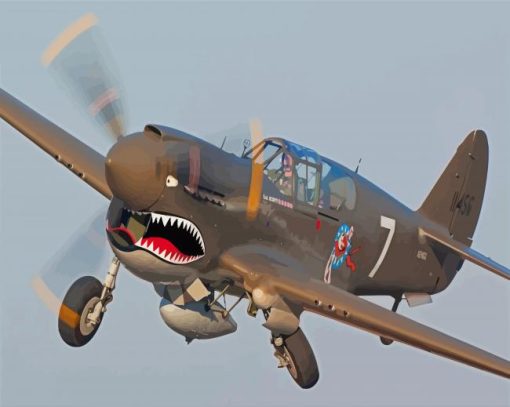 Shark WWII Airplane Paint By Numbers