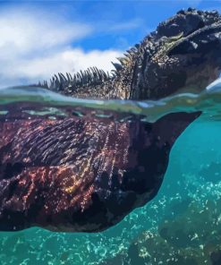 Swimming Iguana Paint By Numbers