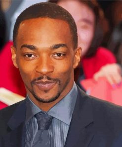 The American Actor Anthony Mackie Paint By Numbers