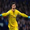 The Goalkeeper Thibaut Courtois Paint By Numbers