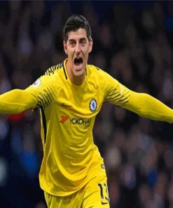 The Goalkeeper Thibaut Courtois Paint By Numbers