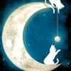 White Cats On Moon Paint By Numbers