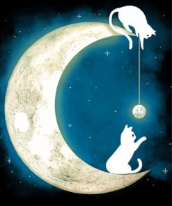 White Cats On Moon Paint By Numbers