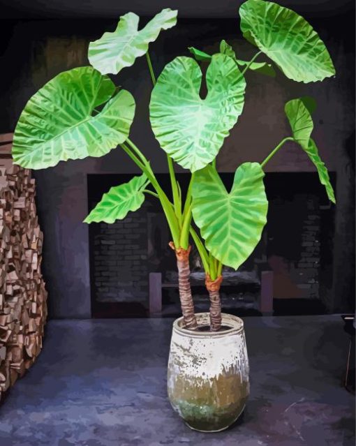 Alocasia Plants Paint By Numbers