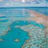 Australia Great Barrier Reef Paint By Numbers